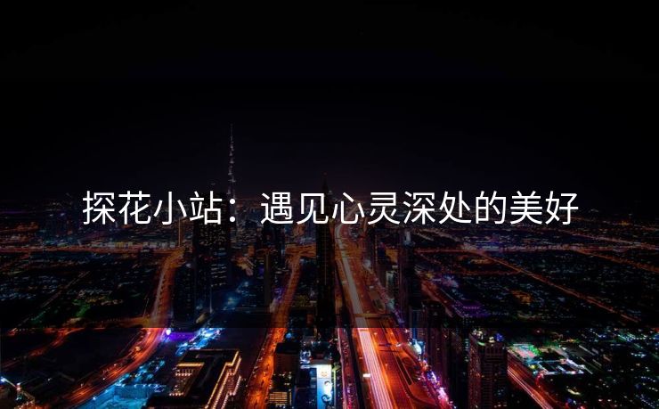 探花小站:遇见心灵深处的美好 探花小站:遇见心灵深处的美好