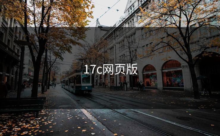 17c网页版