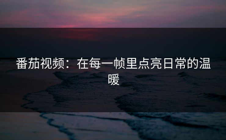 番茄视频：在每一帧里点亮日常的温暖