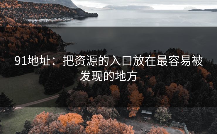 91地址：把资源的入口放在最容易被发现的地方