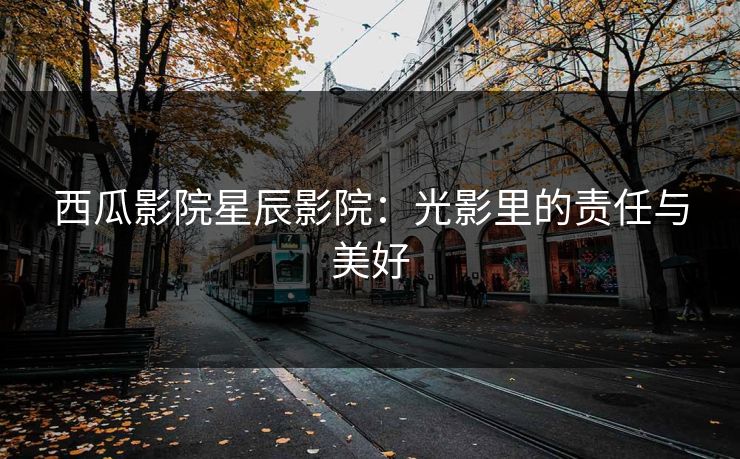 西瓜影院星辰影院：光影里的责任与美好