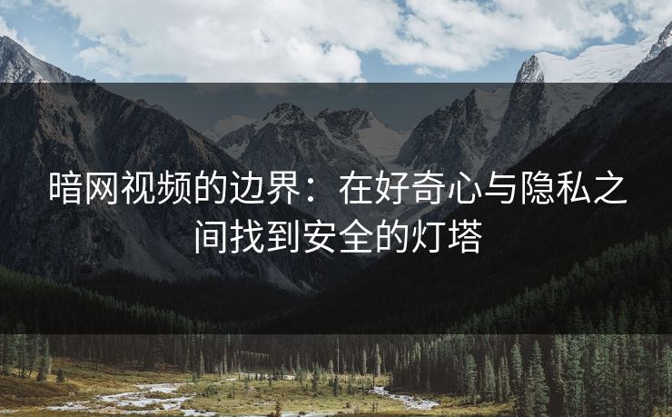 暗网视频的边界：在好奇心与隐私之间找到安全的灯塔