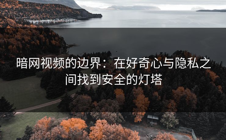 暗网视频的边界：在好奇心与隐私之间找到安全的灯塔