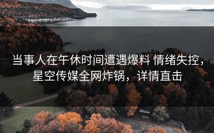 当事人在午休时间遭遇爆料 情绪失控，星空传媒全网炸锅，详情直击