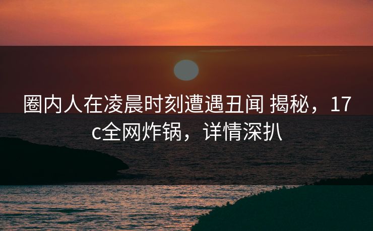 圈内人在凌晨时刻遭遇丑闻 揭秘，17c全网炸锅，详情深扒