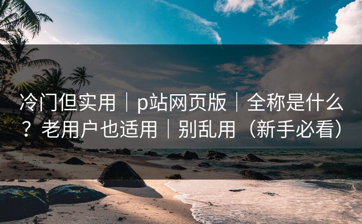 冷门但实用｜p站网页版｜全称是什么？老用户也适用｜别乱用（新手必看）