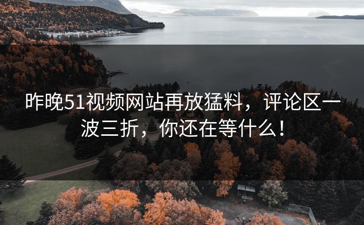 昨晚51视频网站再放猛料，评论区一波三折，你还在等什么！